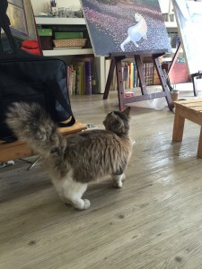 絵画と迷い猫